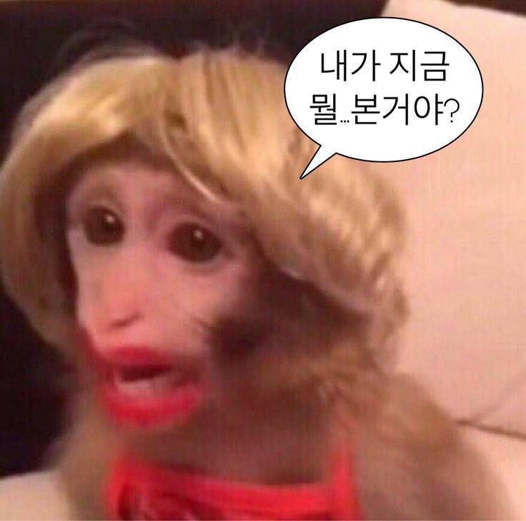 명신. 아 아니고 신명 진짜 개개미친 김규리 연기;;;;;; (피 주의) | 인스티즈