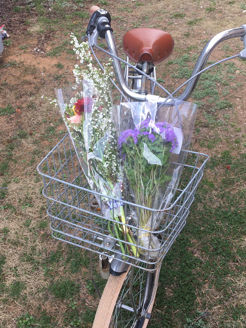 반년동안 모은 자전거 바구니 사진 🚲✨🌿 | 인스티즈