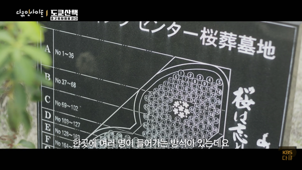 일본 노인들이 하고있다는 무덤친구.JPG | 인스티즈