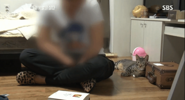  그것이 알고 싶다에 나온... 😽😽😽