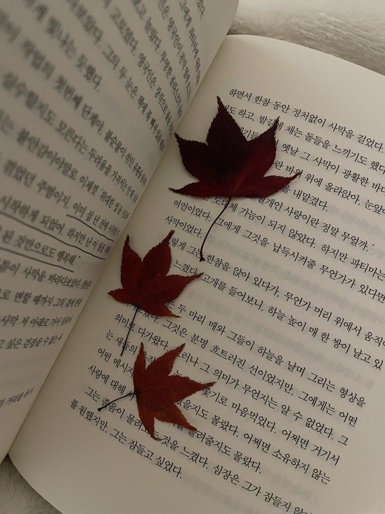 책 읽으려면 장비부터 준비해야한다… 귀여운 책갈피 모음 📖🔖 | 인스티즈