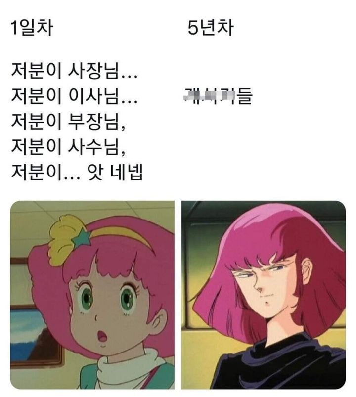 회사 신입과 5년차이..