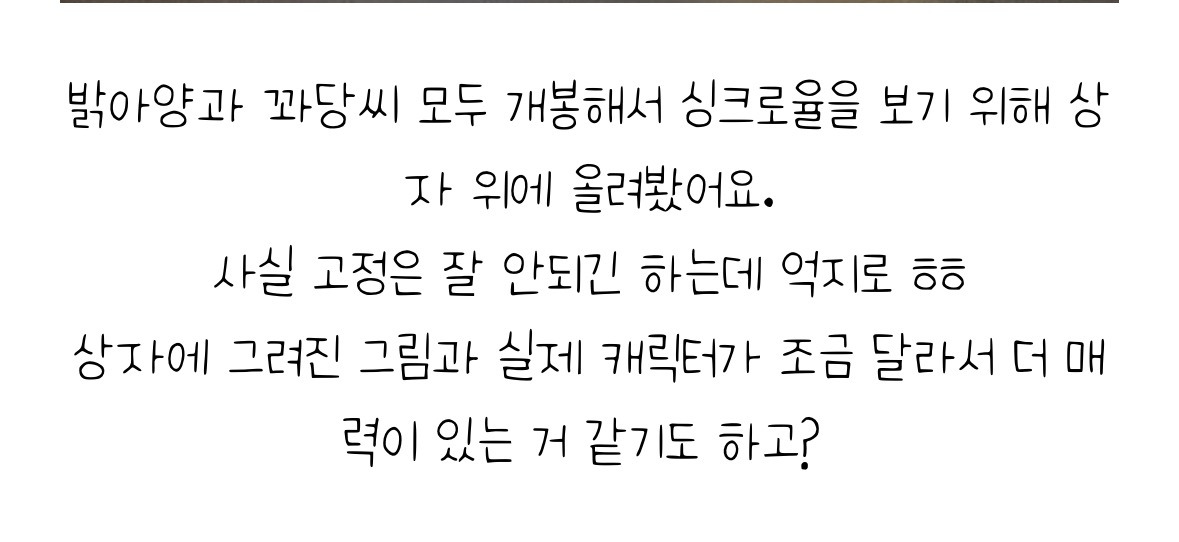 맥도날드 5월 해피밀 장난감 | 인스티즈