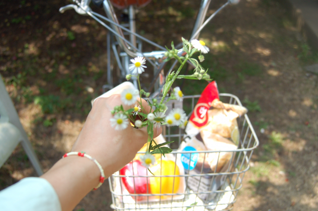 반년동안 모은 자전거 바구니 사진 🚲✨🌿 | 인스티즈