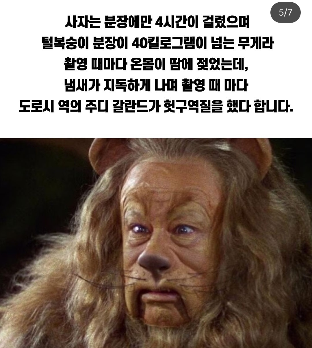 충격적인 수준의 오즈의 마법사 제작비밀 | 인스티즈
