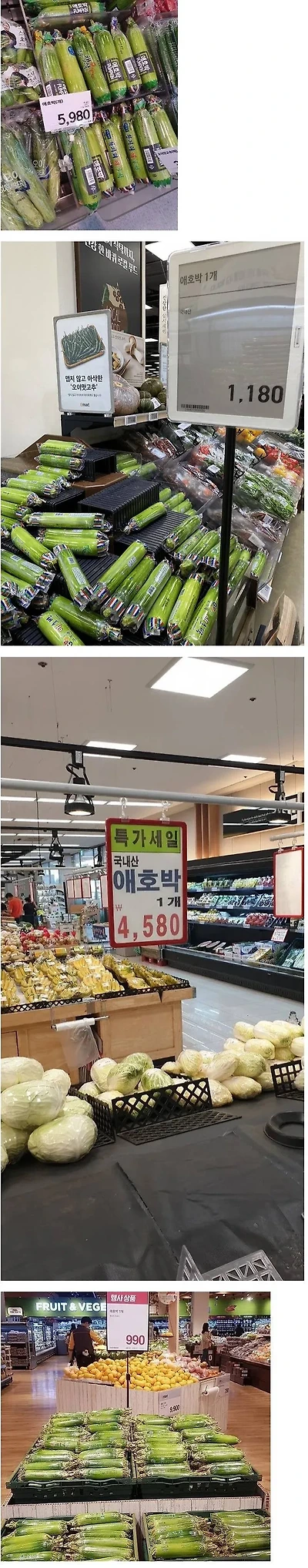 채소계의 비트코인으로 불리는 채소 | 인스티즈