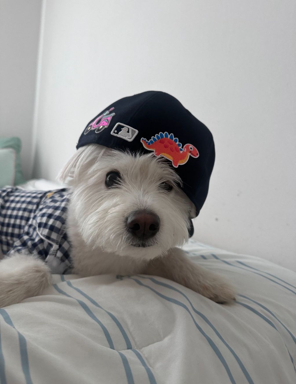  엄마가 모르셔서 그렇지 요즘은 다 이렇게 입어요