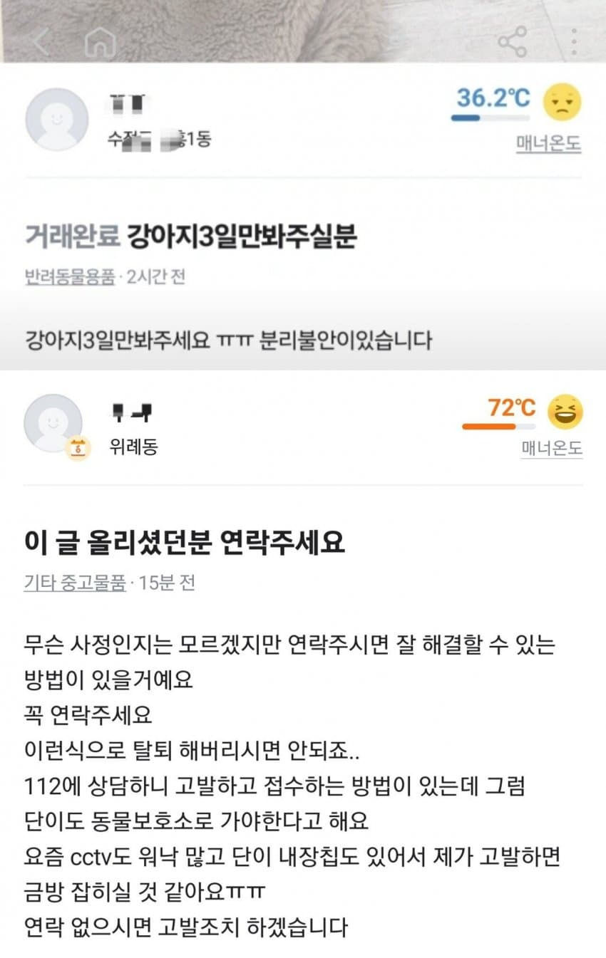 당근마켓에서 강아지 유기 | 인스티즈