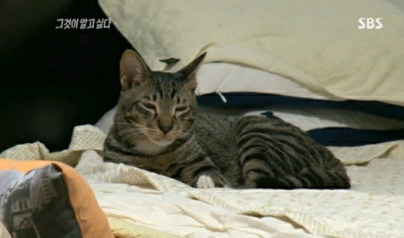 그것이 알고 싶다에 나온... 😽😽😽 | 인스티즈