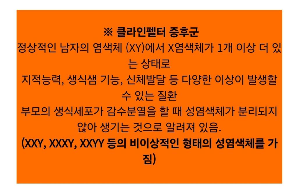 유독 얼빠가 많다는 코숏 코트 색상 | 인스티즈