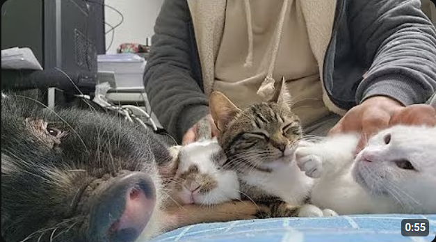  권력 미쳤다고 생각하는 유튜버