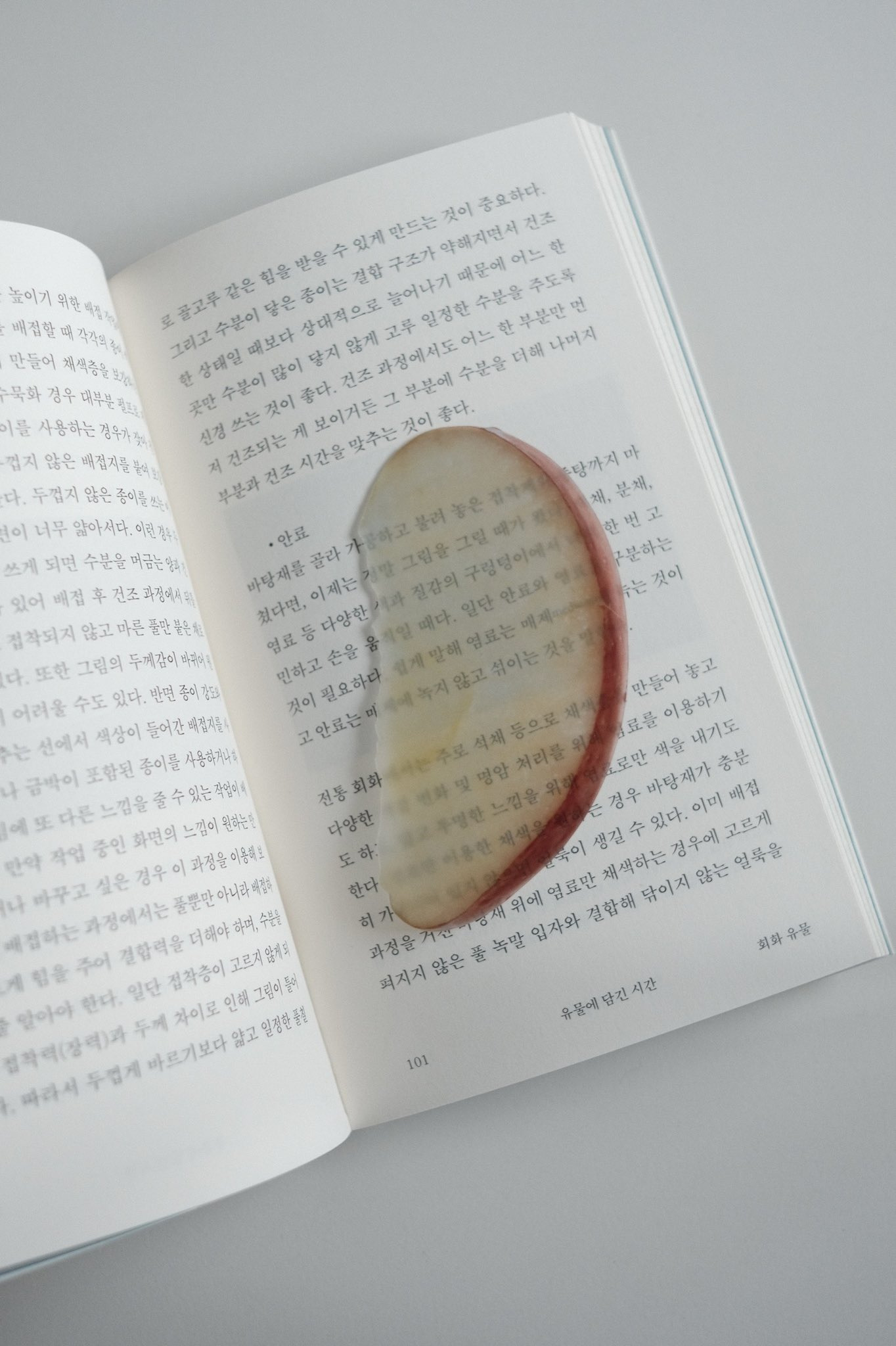  책 읽으려면 장비부터 준비해야한다… 귀여운 책갈피 모음 📖🔖