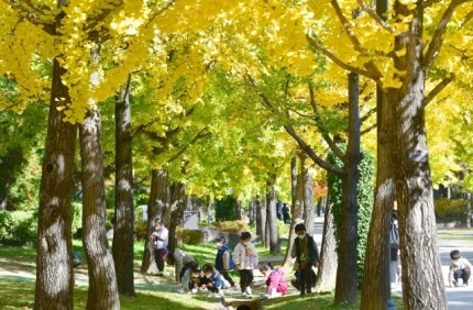 가을을 줍는 아이들 | 인스티즈