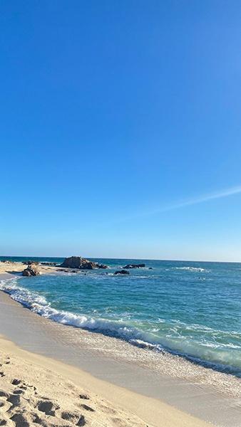 이런 인생을 살고 싶음 | 인스티즈