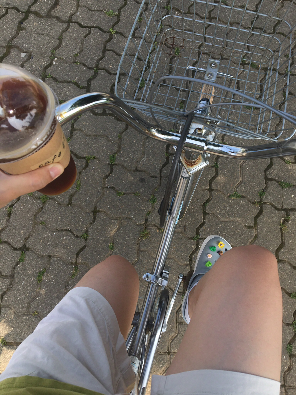 반년동안 모은 자전거 바구니 사진 🚲✨🌿 | 인스티즈