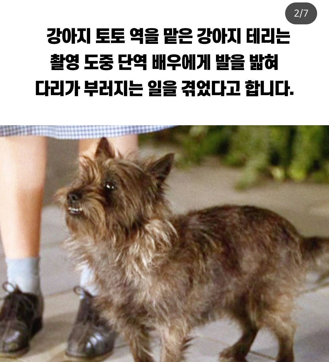 충격적인 수준의 오즈의 마법사 제작비밀 | 인스티즈