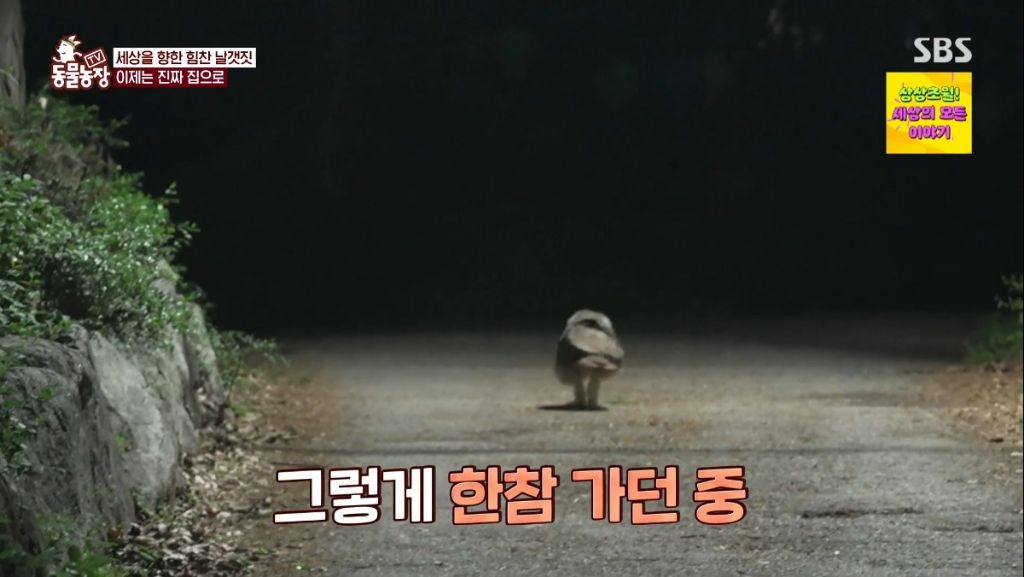 오늘 레전드라고 난리난 동물농장.jpg | 인스티즈