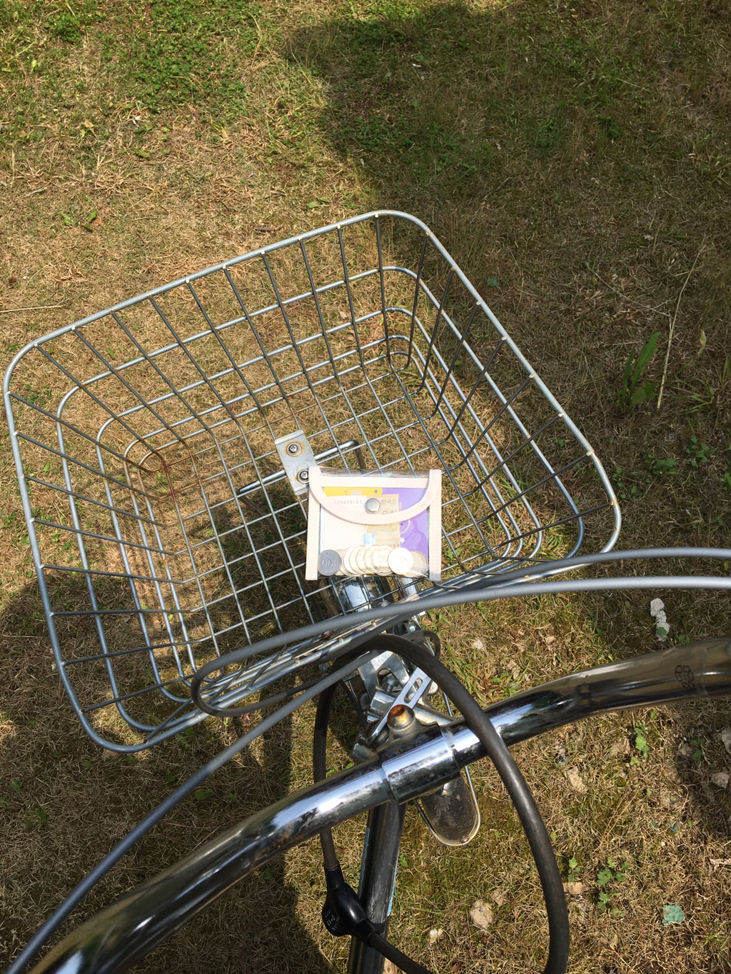 반년동안 모은 자전거 바구니 사진 🚲✨🌿 | 인스티즈