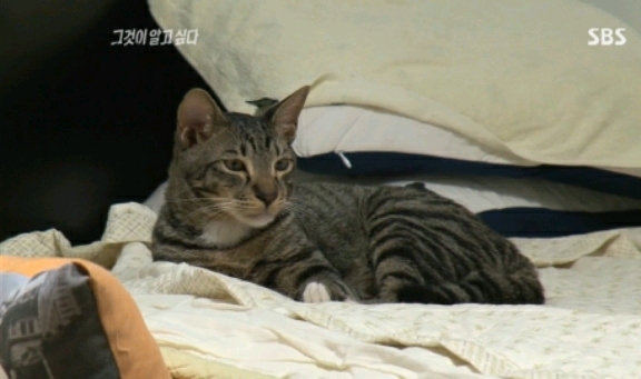 그것이 알고 싶다에 나온... 😽😽😽 | 인스티즈