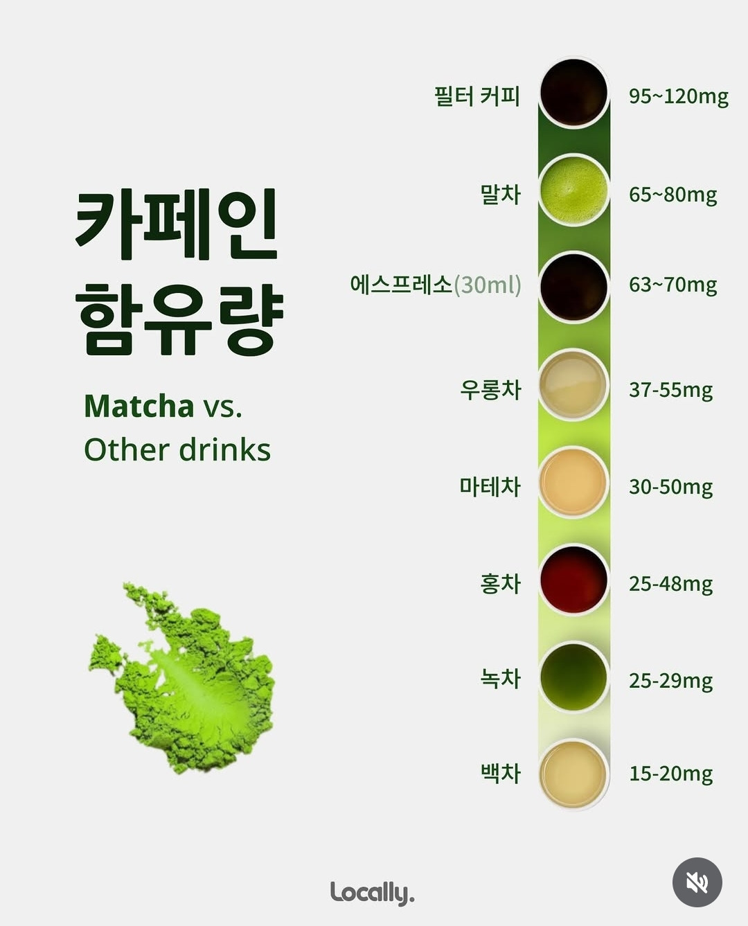 말차 vs 녹차 차이점 | 인스티즈
