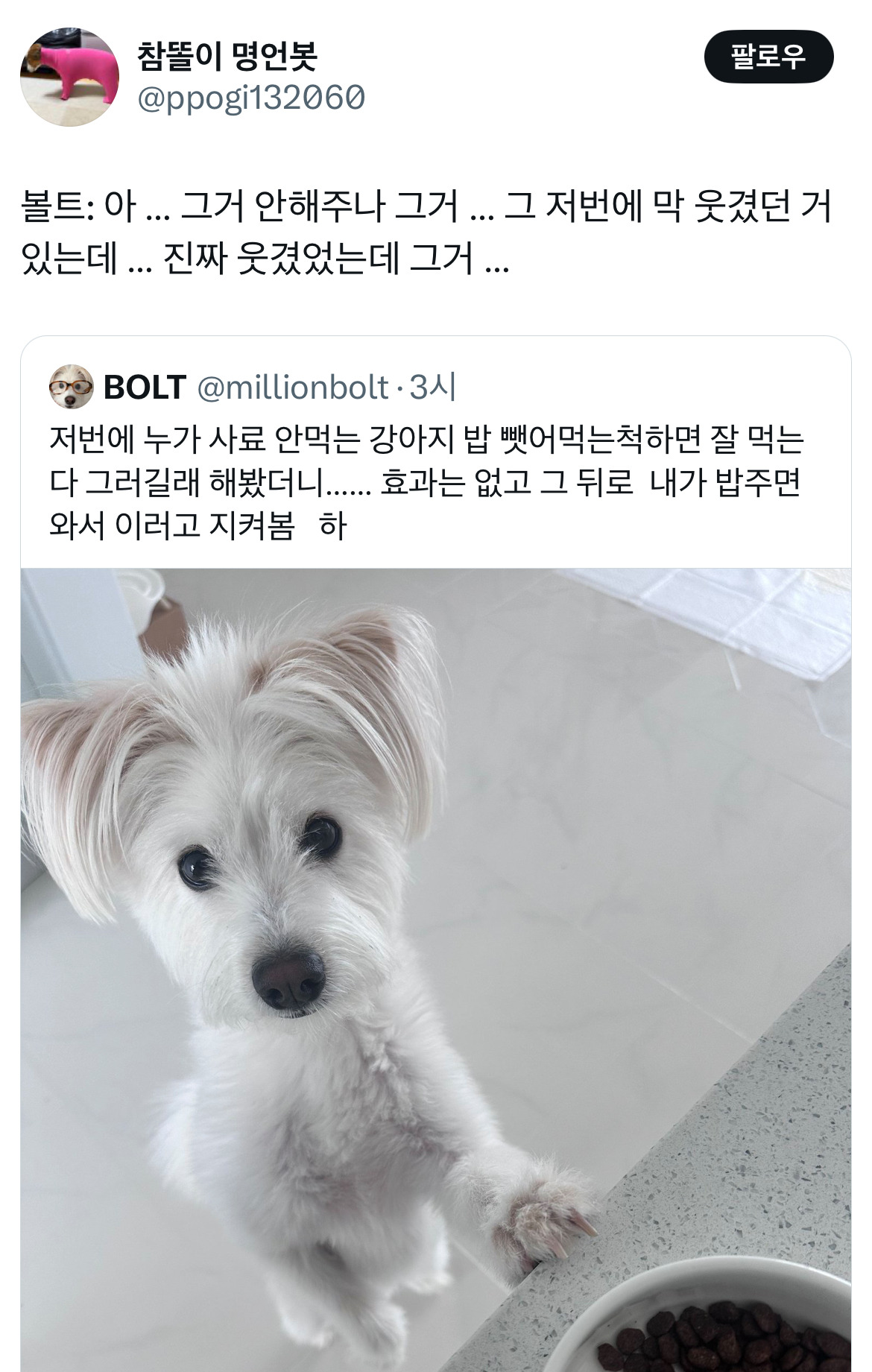 저번에 누가 사료 안먹는 강아지 밥 뺏어먹은 척 하면 잘 먹는다 그러길래 해봤더니...twt | 인스티즈