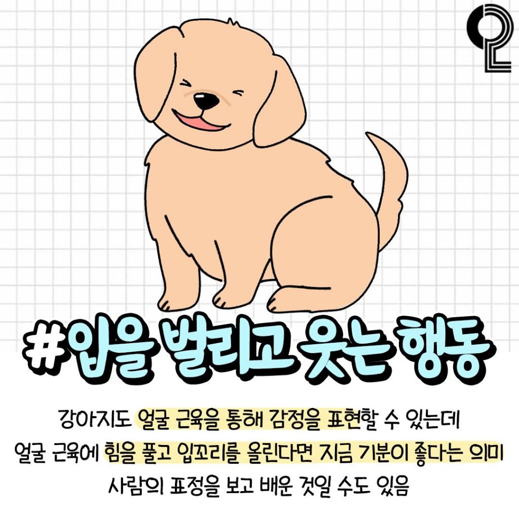 반려견이 기분좋을때 하는행동 | 인스티즈