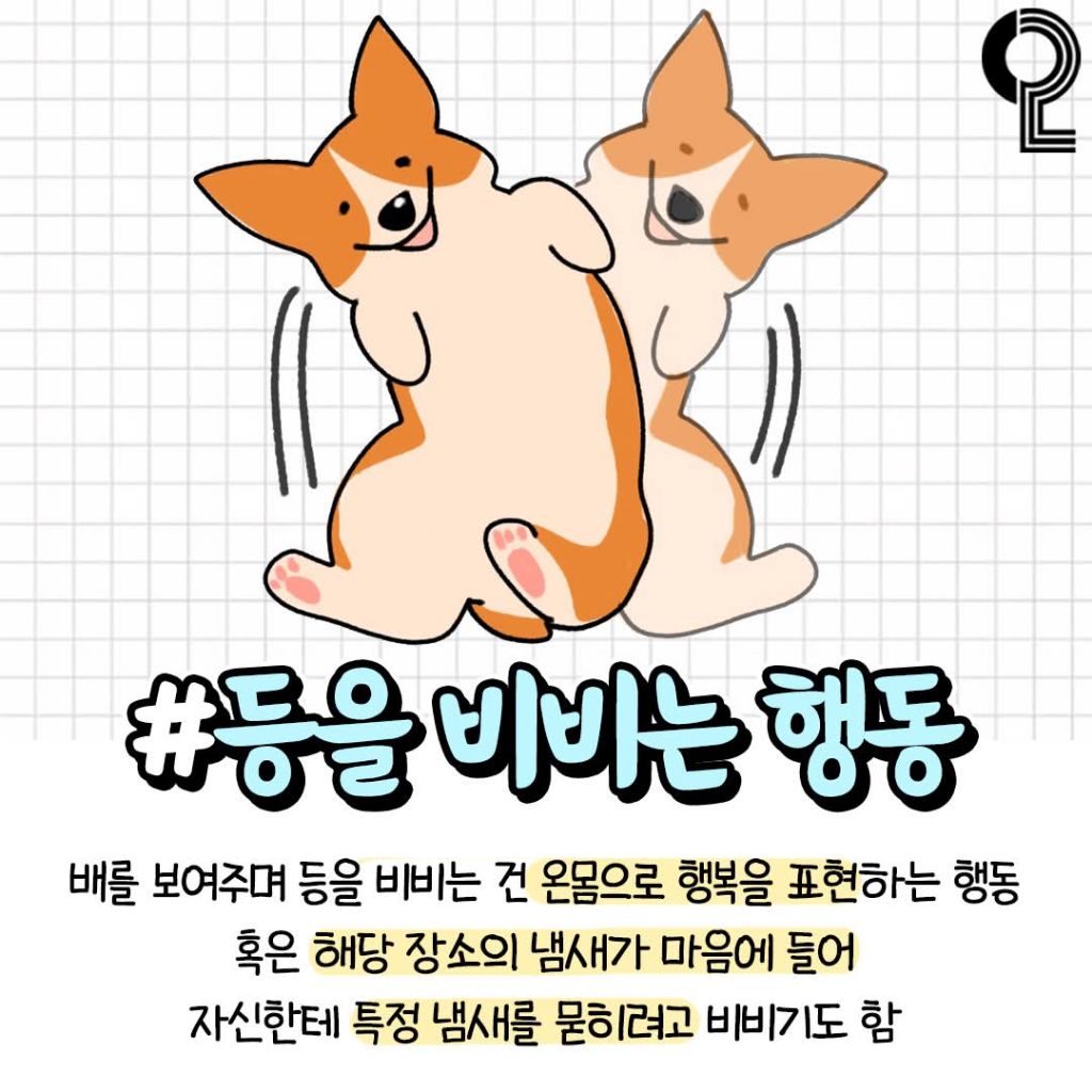 반려견이 기분좋을때 하는행동 | 인스티즈