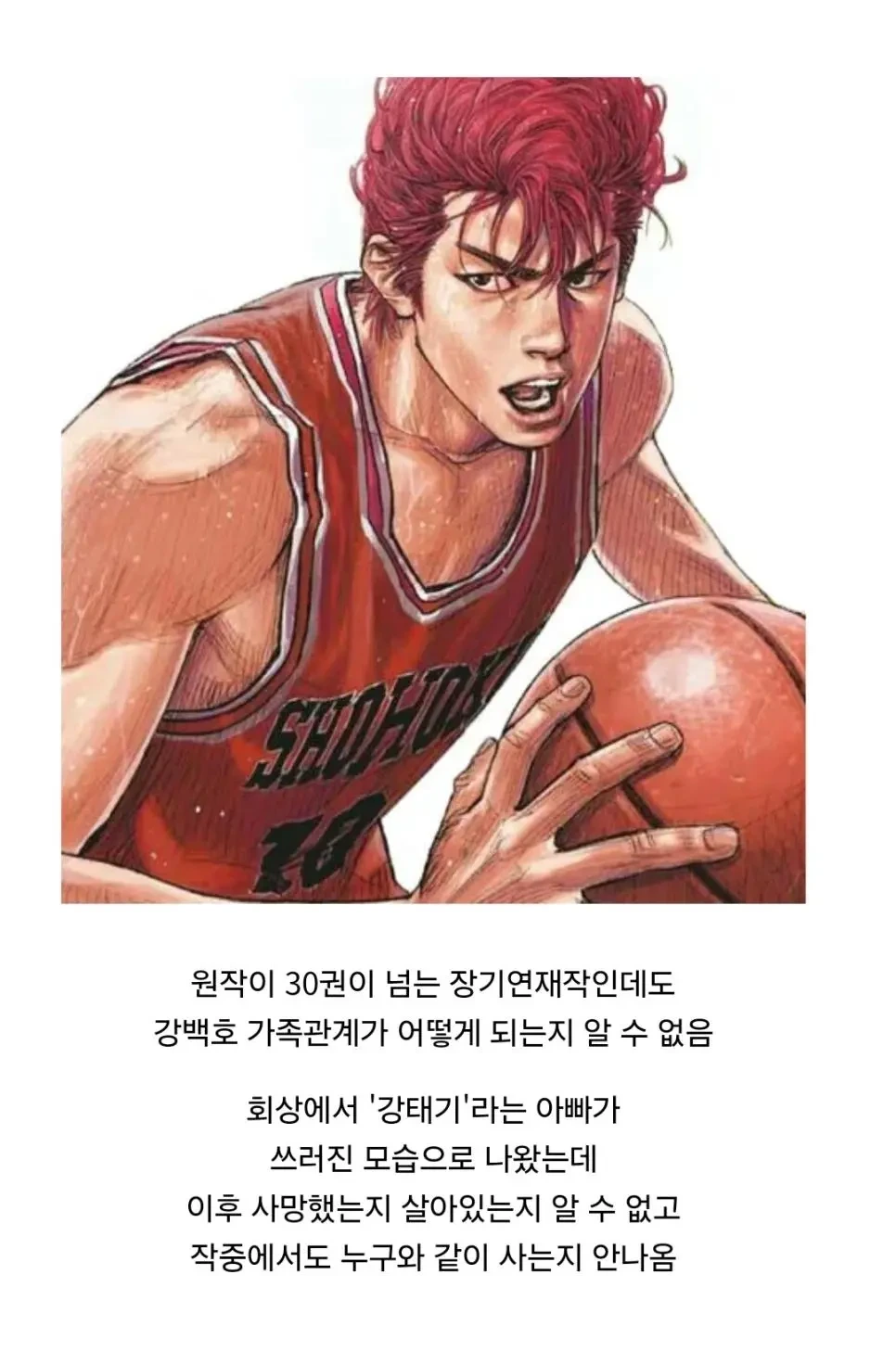  의외로 작중에서 정보가 거의 풀리지 않은 주인공