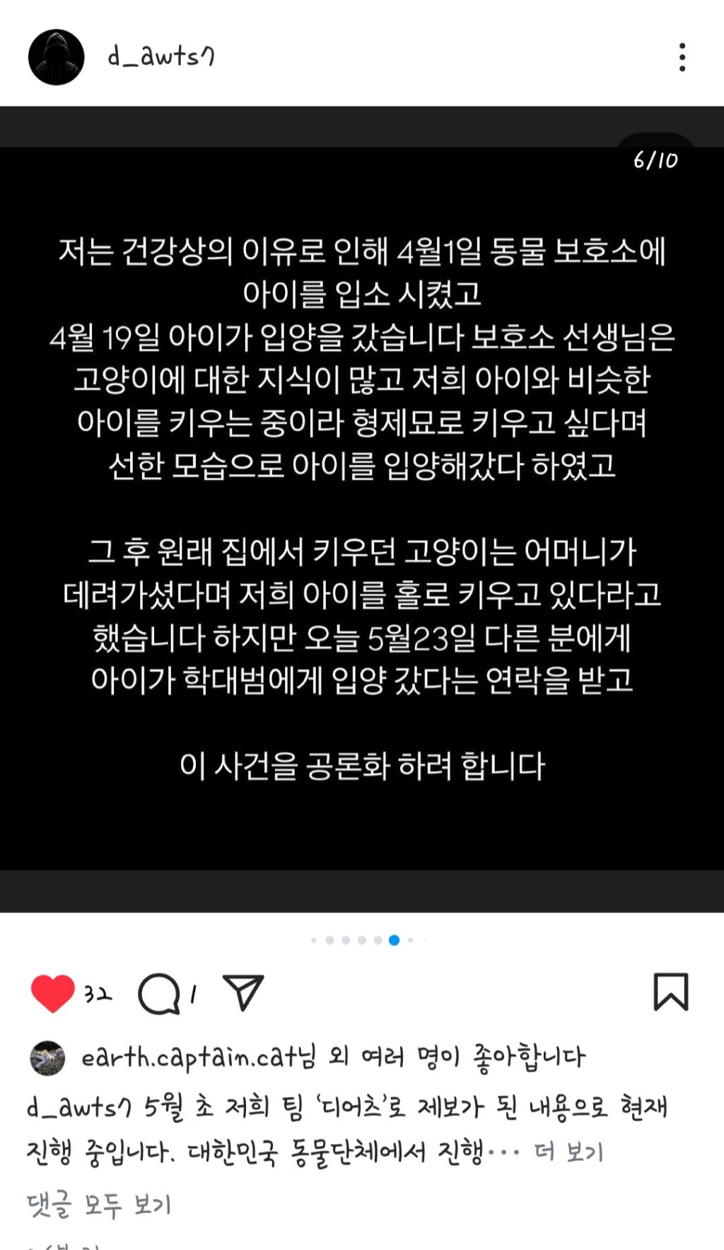 코리안숏헤어 고등어를 입양보낸 사람들을 찾고있습니다 | 인스티즈