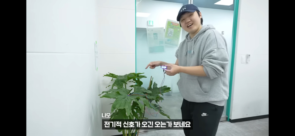 역대급 대충격이였던 식물실험 | 인스티즈