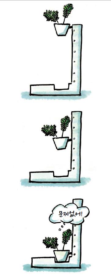 식물계 최대 미스테리: 다른 식물의 잎을 모방해서 모양 바꾸는 식물.jpg | 인스티즈