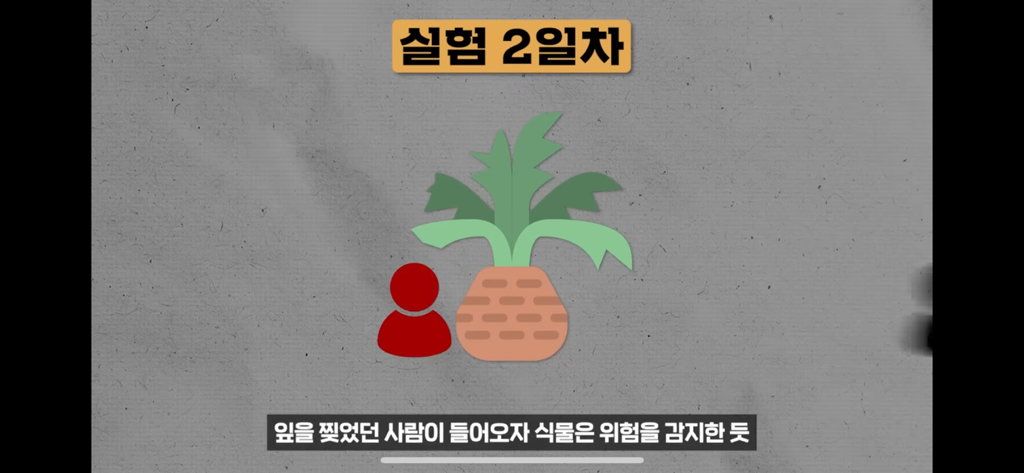 역대급 대충격이였던 식물실험 | 인스티즈