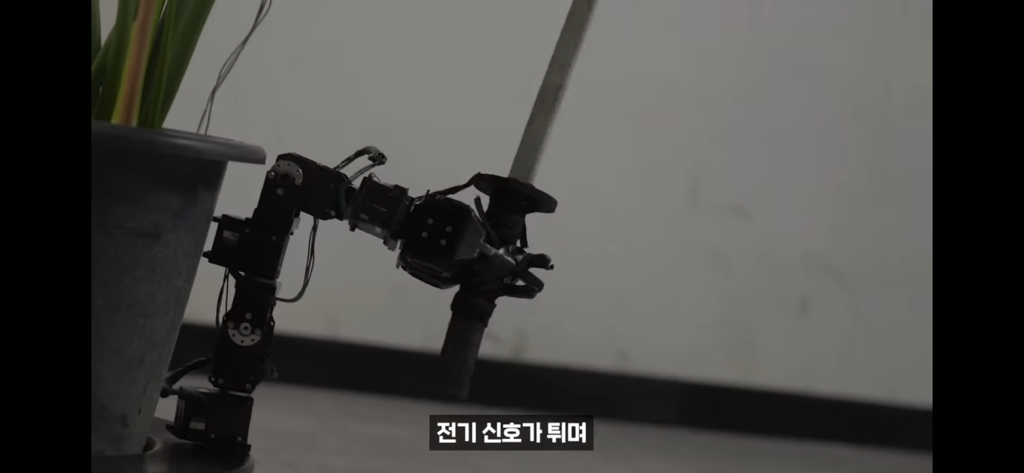 역대급 대충격이였던 식물실험 | 인스티즈