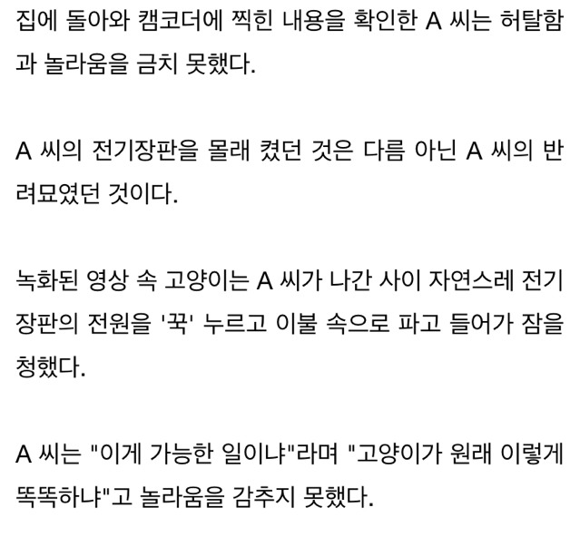 "아침에 끄고 나간 전기장판이 밤만 되면 자동으로 켜져있어요" | 인스티즈