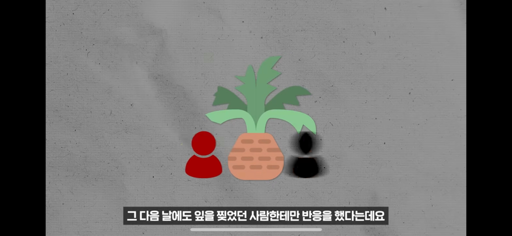 역대급 대충격이였던 식물실험 | 인스티즈