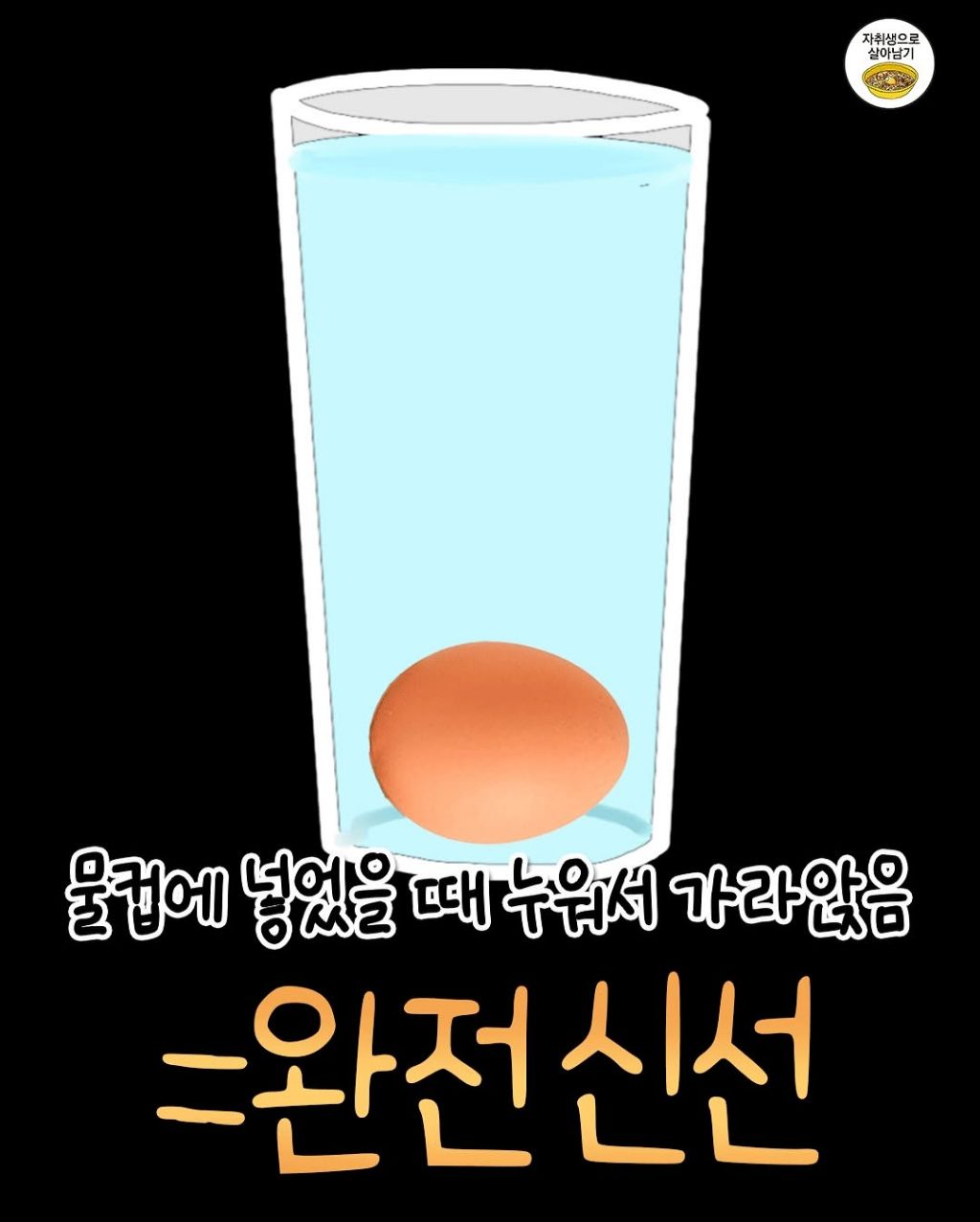  우리집 달걀 상했는지 쉽게 알 수 있는 방법.jpg