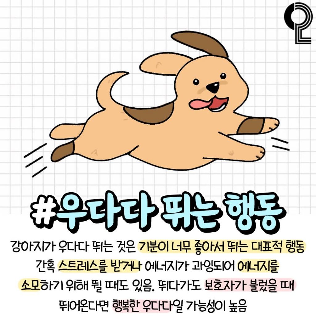 반려견이 기분좋을때 하는행동 | 인스티즈