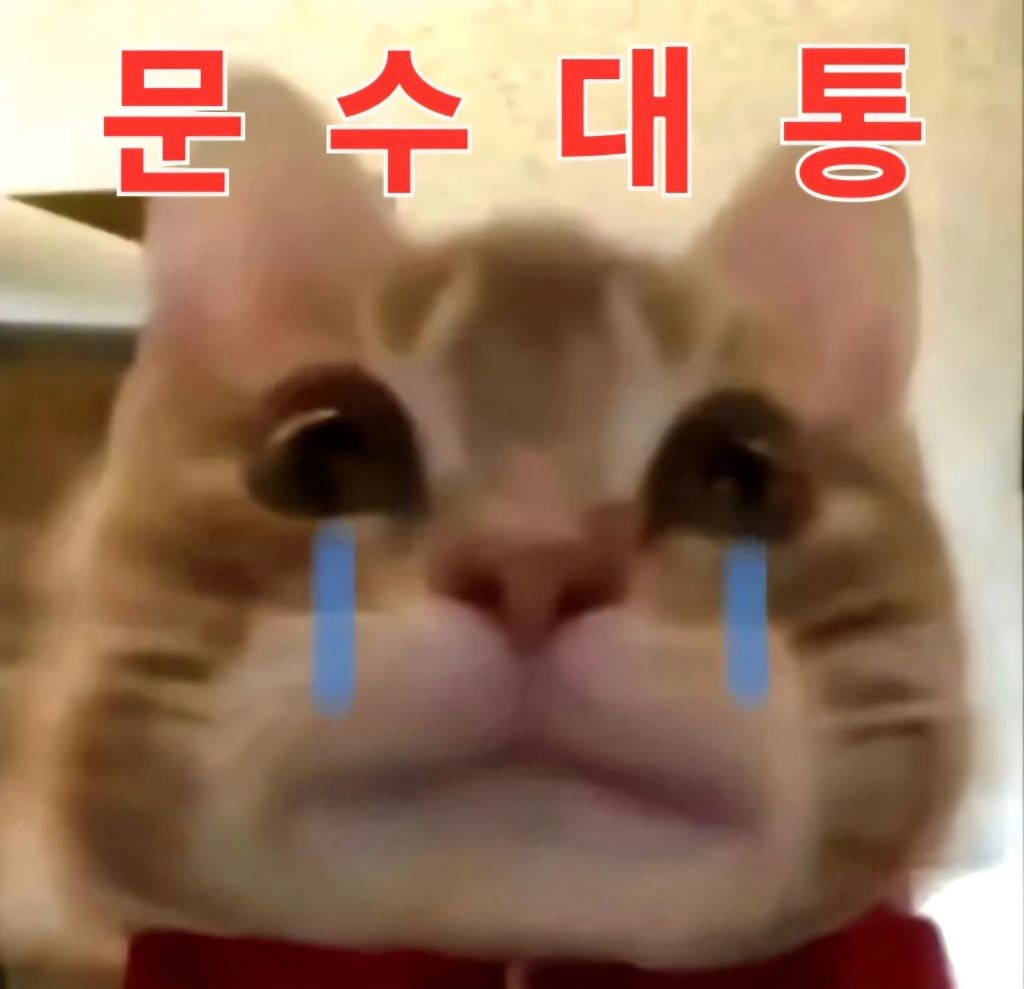 소드줌들 여시 따라서 김문수 빠는짤 만든거봨ㅋㅋㅋㅋㅋ | 인스티즈