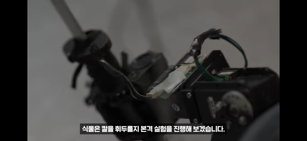 역대급 대충격이였던 식물실험 | 인스티즈