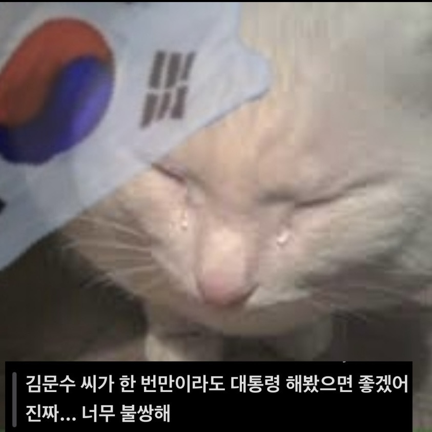 소드줌들 여시 따라서 김문수 빠는짤 만든거봨ㅋㅋㅋㅋㅋ | 인스티즈