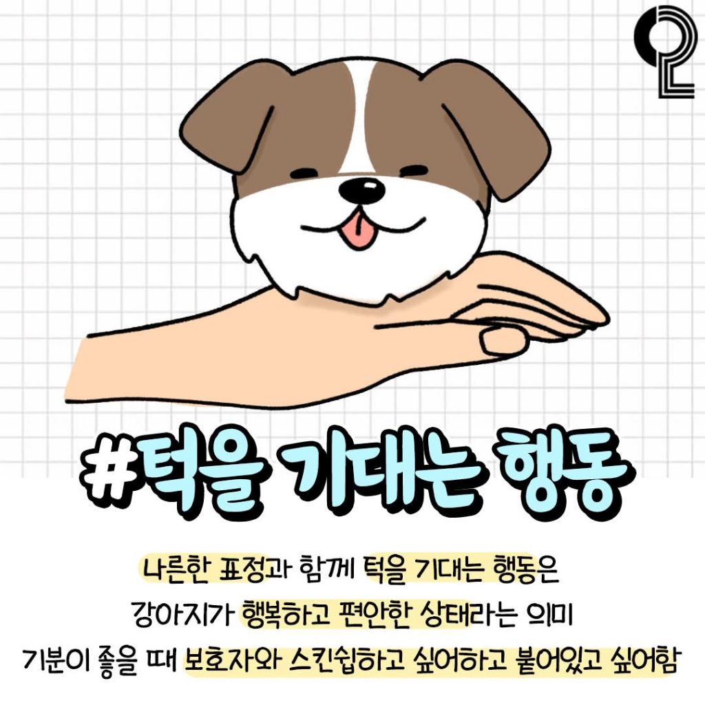 반려견이 기분좋을때 하는행동 | 인스티즈