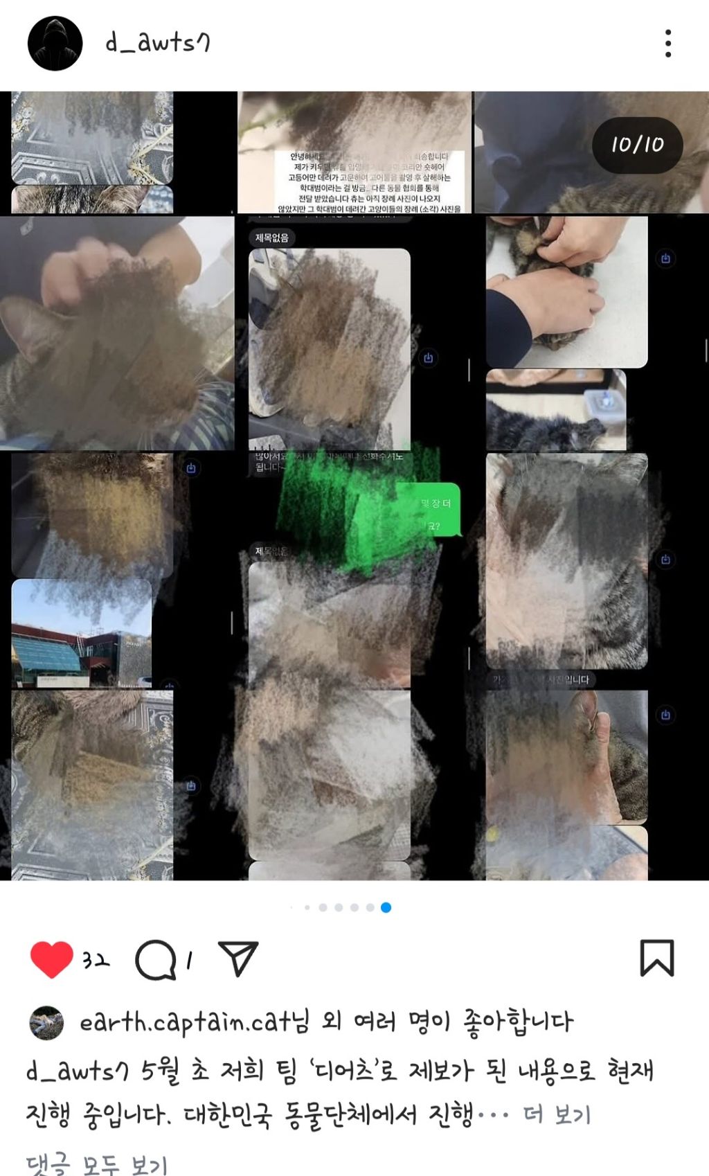 코리안숏헤어 고등어를 입양보낸 사람들을 찾고있습니다 | 인스티즈