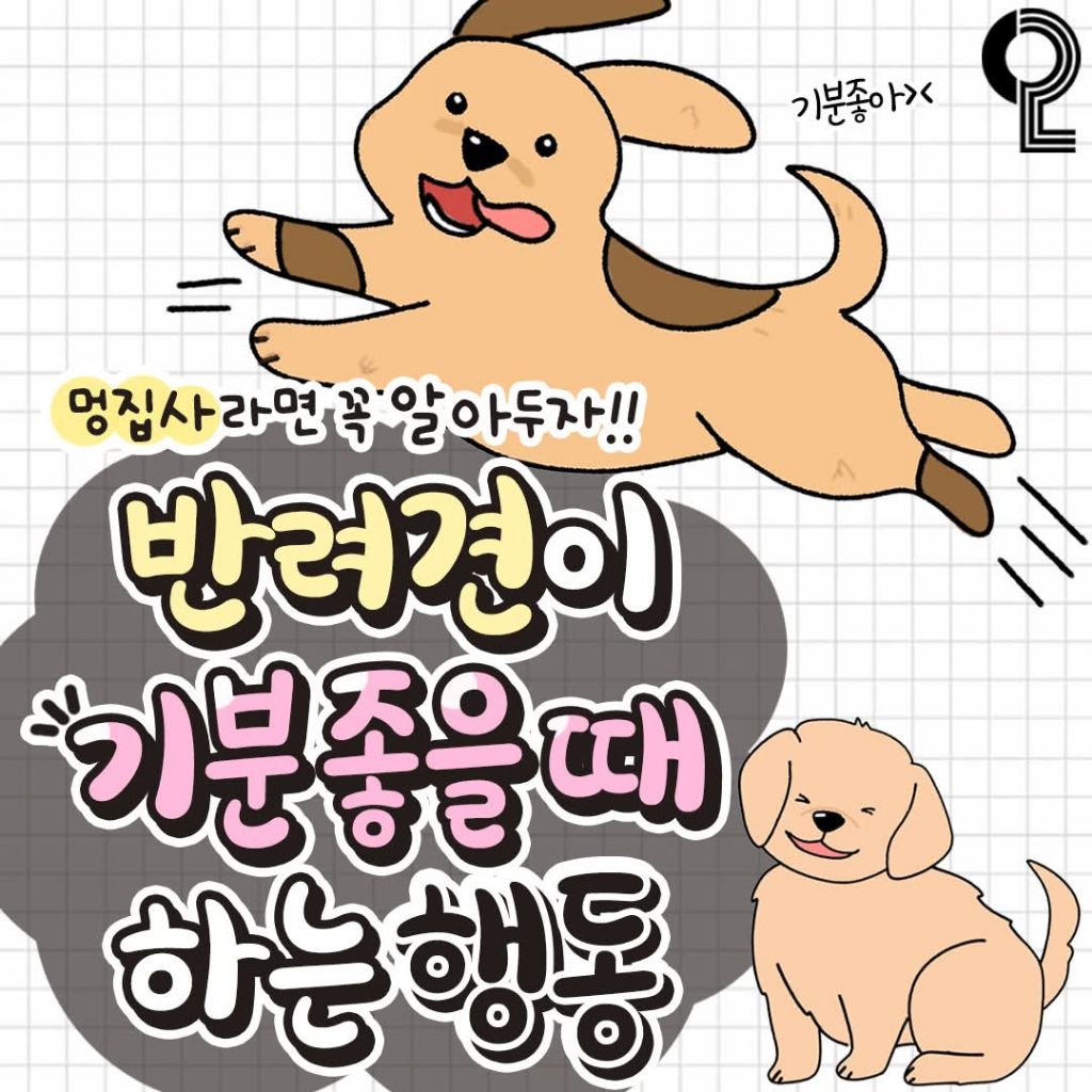  반려견이 기분좋을때 하는행동