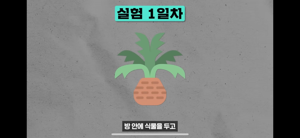 역대급 대충격이였던 식물실험 | 인스티즈