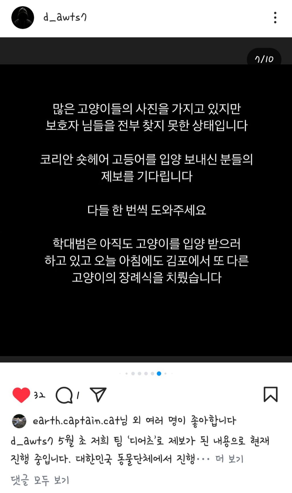 코리안숏헤어 고등어를 입양보낸 사람들을 찾고있습니다 | 인스티즈