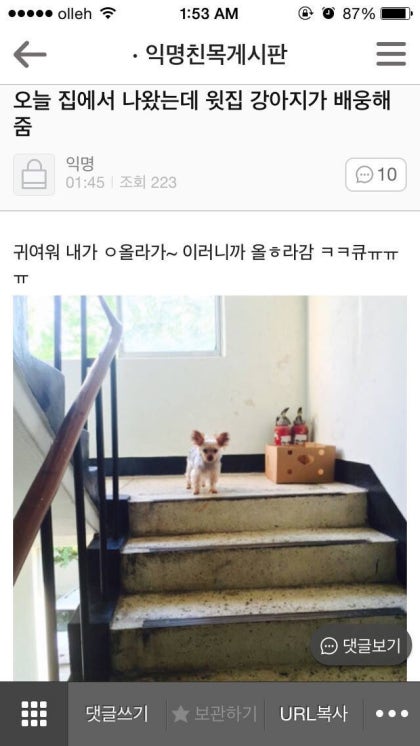 시바 화장실인데 옆칸 사람 울고 있는데 나 정말 ㅅㅅ하면서 | 인스티즈
