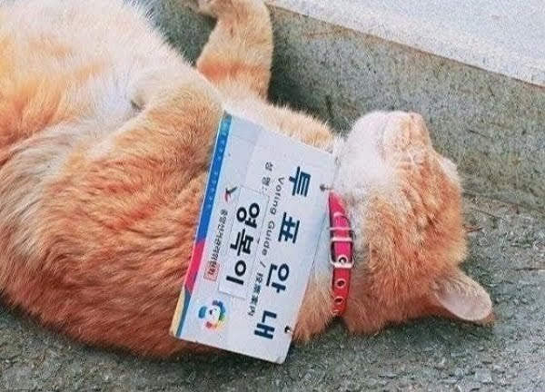 근무시간에 누워있는 공무원 | 인스티즈