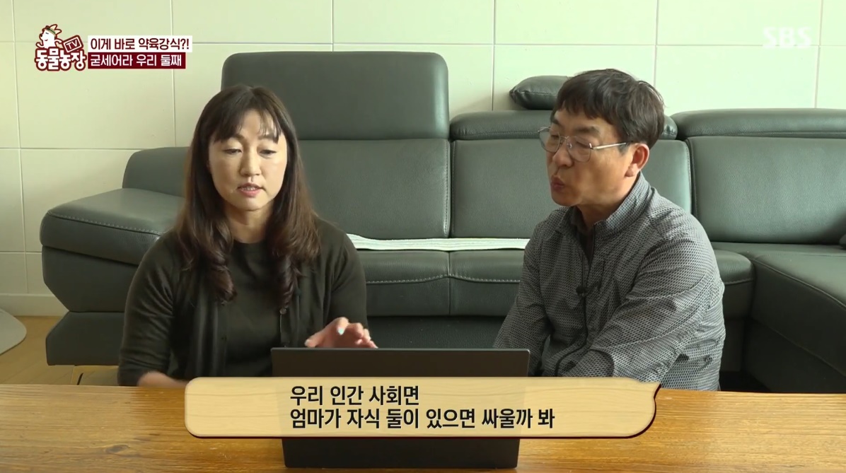 동물농장 저번주 레전드 회차 수리부엉이 가족과 둘째 이야기.jpg | 인스티즈