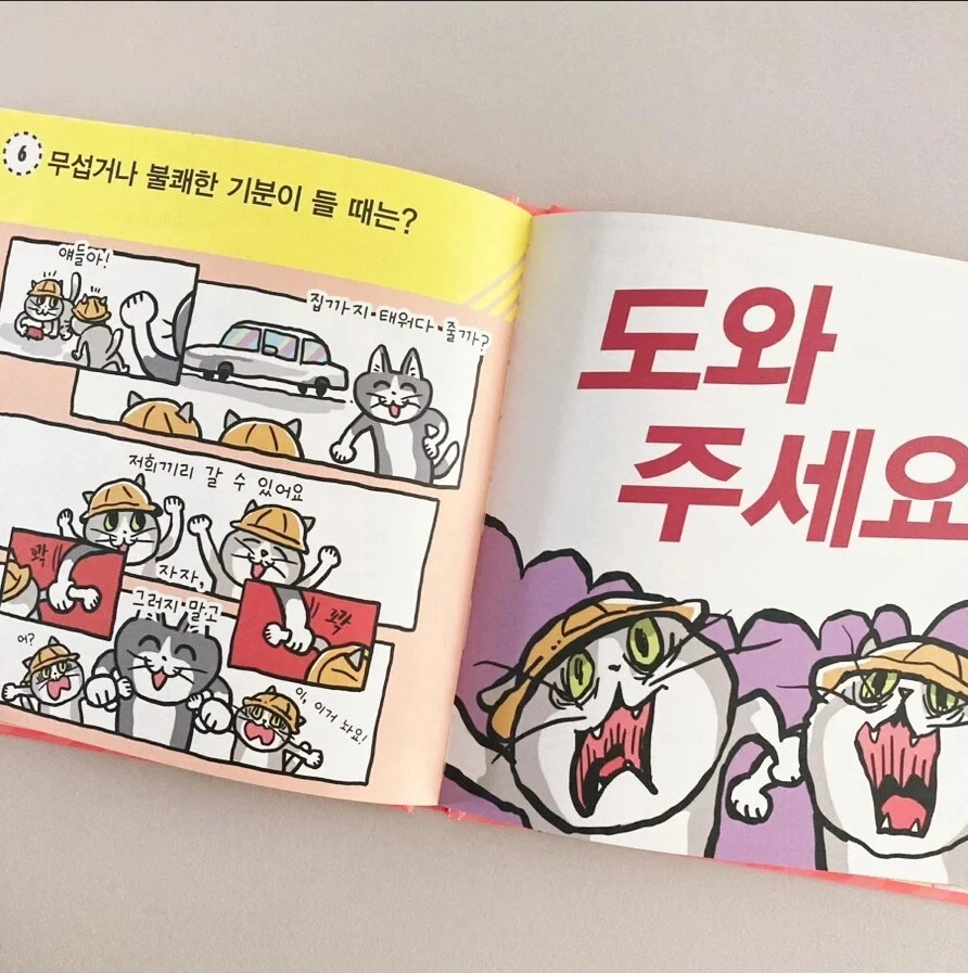 '좋았쓰'고양이 근황 | 인스티즈
