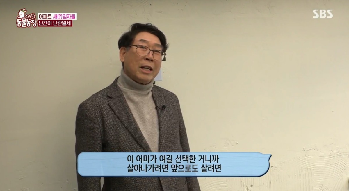 동물농장 저번주 레전드 회차 수리부엉이 가족과 둘째 이야기.jpg | 인스티즈